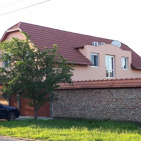 Sunshine Apartment Hajduszoboszlo Exterior photo